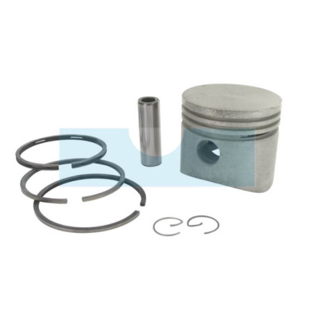 Piston pour moteur Tecumseh (31797b)