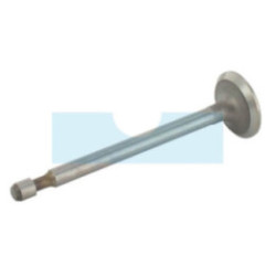 Soupape d'admission pour moteur Briggs & Stratton (499641)