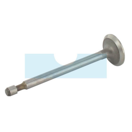 Soupape d'admission pour moteur Briggs & Stratton (499641)