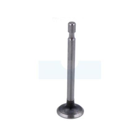 Soupape d'échappement pour moteur Briggs & Stratton (499642)
