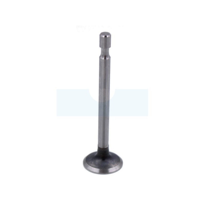 Soupape d'échappement pour moteur Briggs & Stratton (499642)