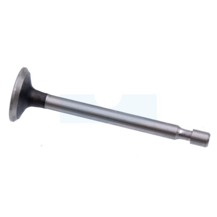 Soupape d'échappement pour moteur Briggs & Stratton (499642)