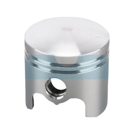 Piston pour Alko (463226)