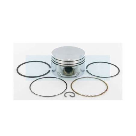Piston pour moteur Briggs & Stratton (795430)