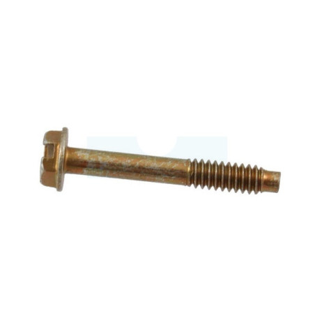 Vis pour moteur Briggs & Stratton (690670)