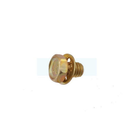 Vis pour moteur Briggs & Stratton (690837)