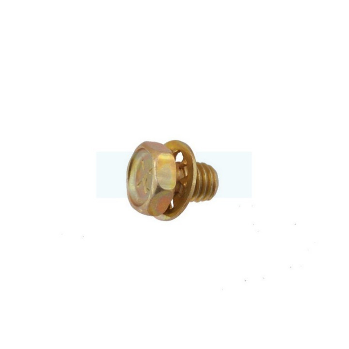 Vis pour moteur Briggs & Stratton (690837)