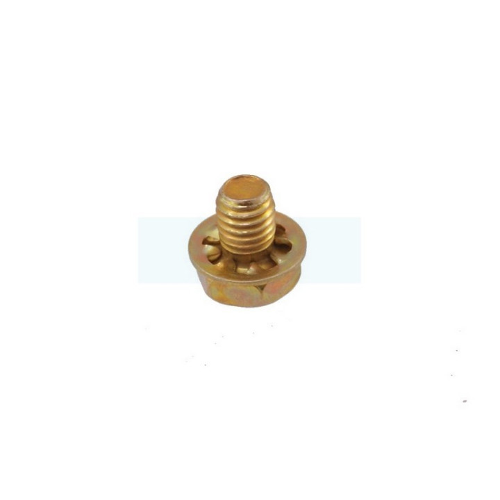 Vis pour moteur Briggs & Stratton (690837)