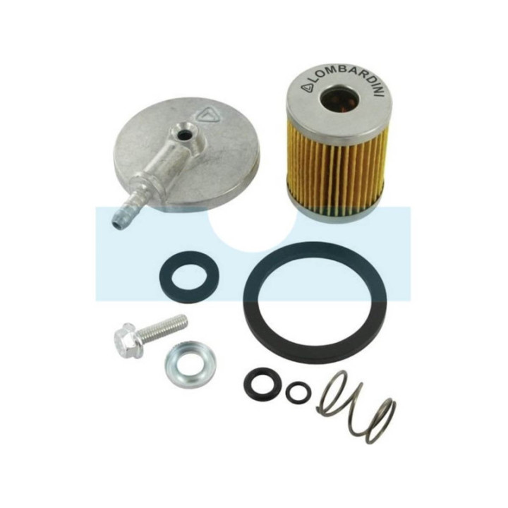 Filtre à carburant pour moteur Lombardini (3730028)