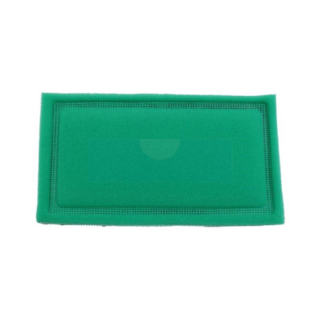 Filtre à air pour moteur Briggs & Stratton (273638)