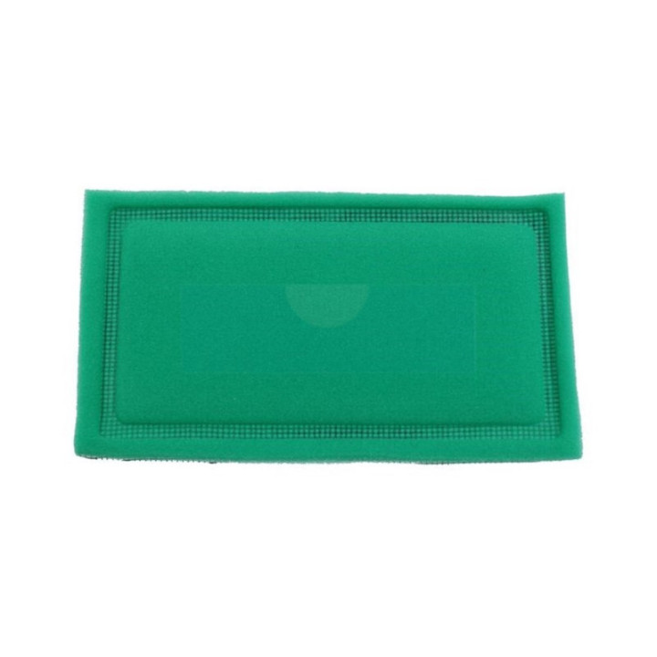 Filtre à air pour moteur Briggs & Stratton (273638)