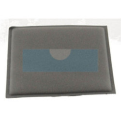 Filtre à air pour moteur Briggs & Stratton (805267)