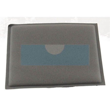 Filtre à air pour moteur Briggs & Stratton (805267)