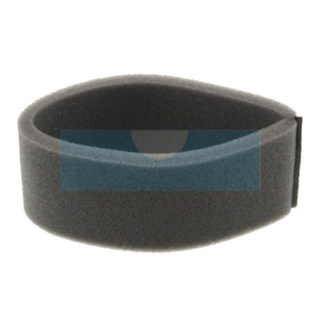 Filtre à air pour moteur Briggs & Stratton (273185)