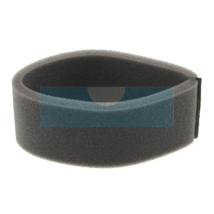 Filtre à air pour moteur Briggs & Stratton (273185)