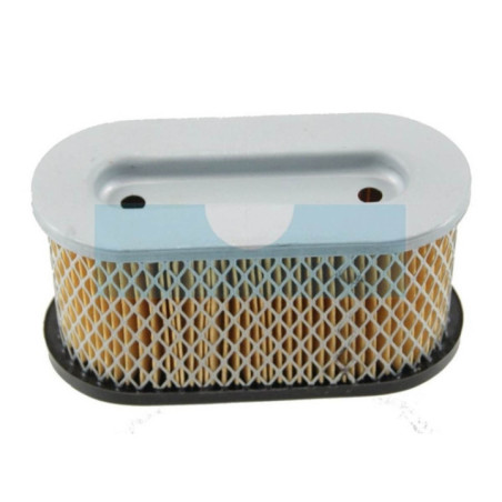 Filtre à air pour moteur Briggs & Stratton (491950)