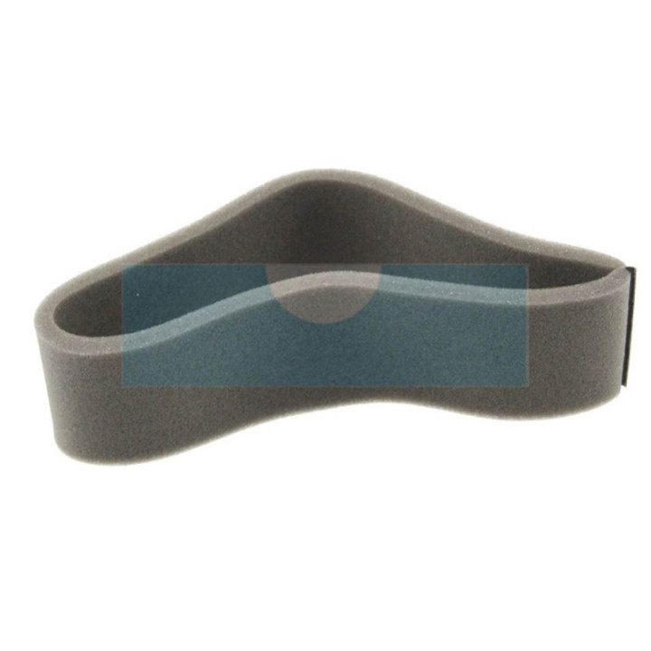Filtre à air pour moteur Briggs & Stratton (270973)