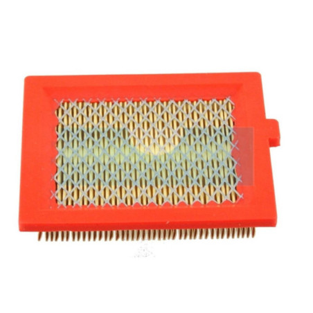 Filtre à air pour moteur Castelgarden / GGP (1111916901)