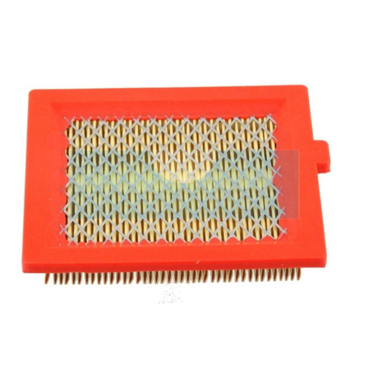 Filtre à air pour moteur Castelgarden / GGP (1111916901)