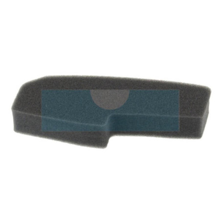 Filtre à air pour moteur / tondeuse Castelgarden / GGP (1111917001)