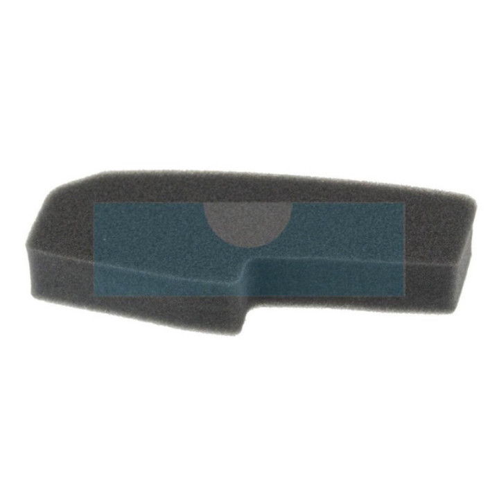 Filtre à air pour moteur / tondeuse Castelgarden / GGP (1111917001)