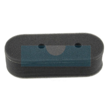 Filtre à air pour moteur Castelgarden / GGP (1111915301)