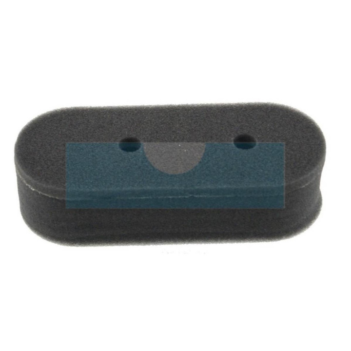 Filtre à air pour moteur Castelgarden / GGP (1111915301)