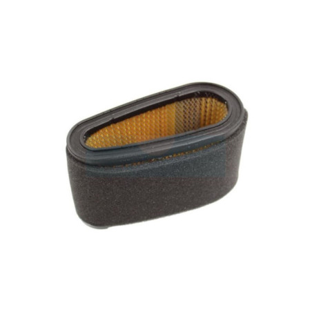 Filtre à air pour moteur Castelgarden / GGP (1185501990)