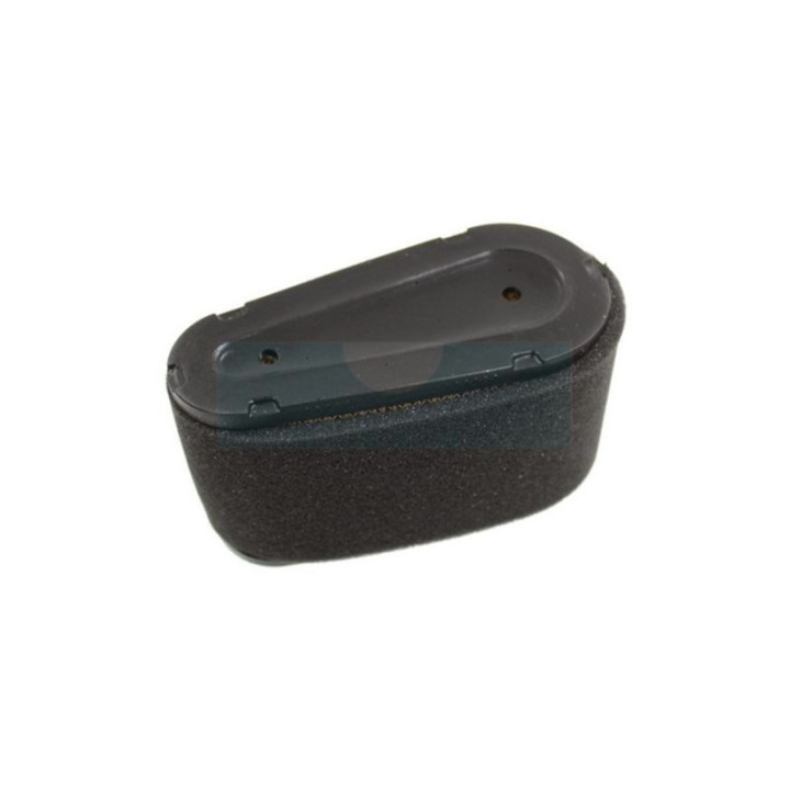 Filtre à air pour moteur Castelgarden / GGP (1185501990)