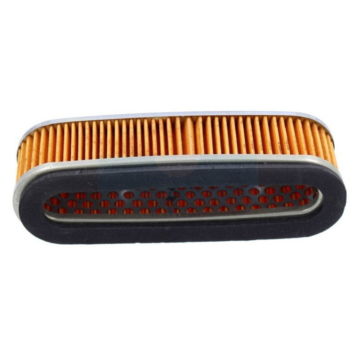 Filtre à air pour tondeuse Honda (17210ZE5000)