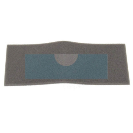 Filtre à air pour moteur Kawasaki (110137001)