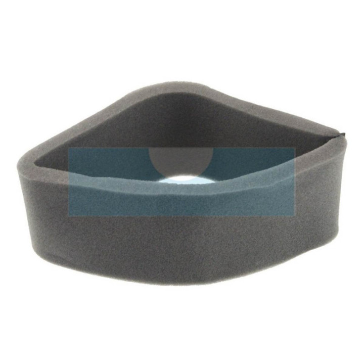 Filtre à air pour moteur Kawasaki (110137009)