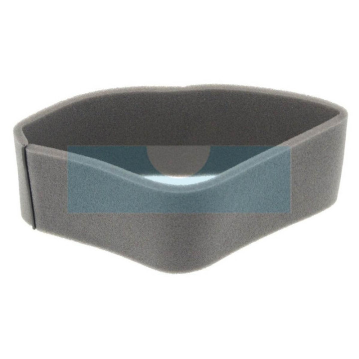 Filtre à air pour moteur Kawasaki (110137046)