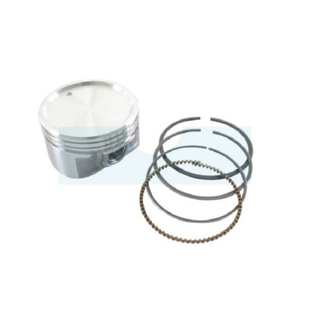 Piston pour moteur Briggs & Stratton (843792)