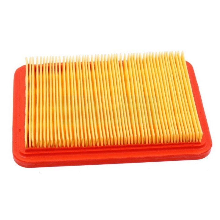 Filtre à air pour moteurs Chinois (66150155)
