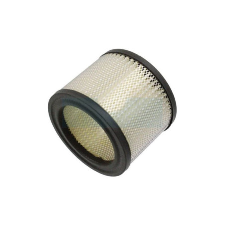 Filtre à air pour Onan (1402379)