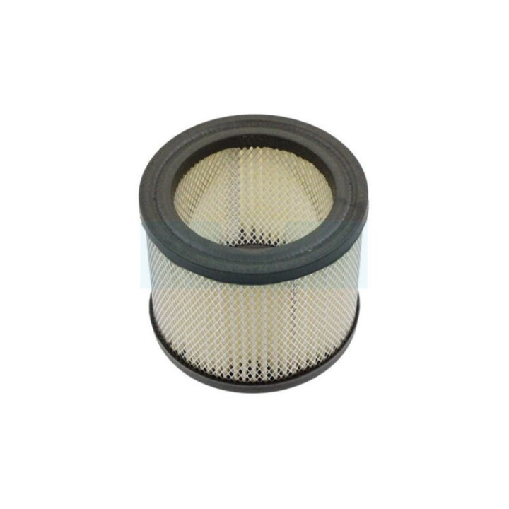 Filtre à air pour Onan (1402379)