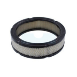 Filtre à air pour moteur Onan (1402628)