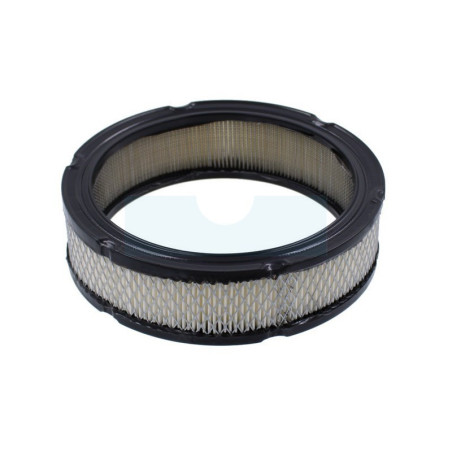 Filtre à air pour moteur Onan (1402628)