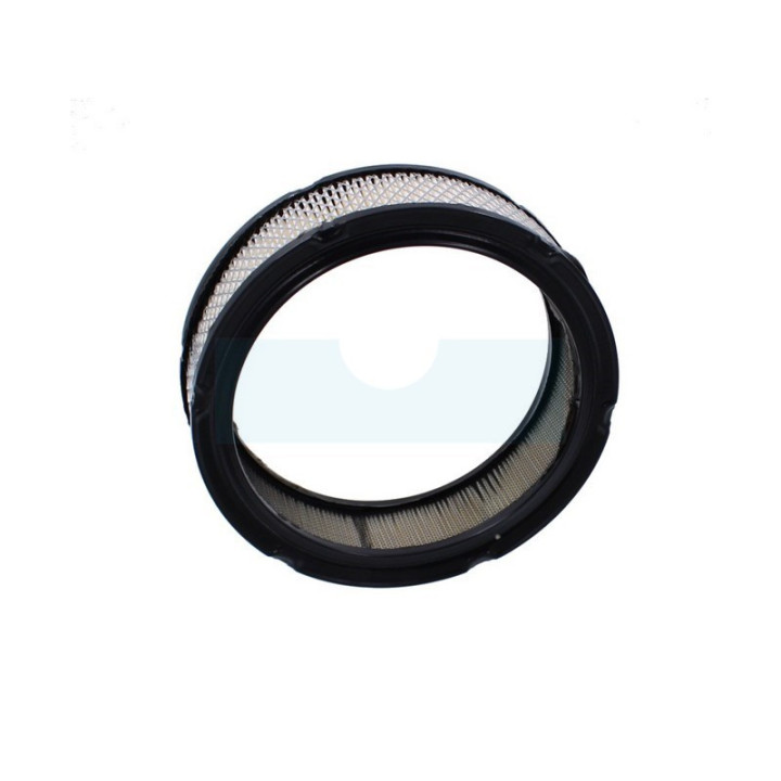 Filtre à air pour moteur Onan (1402628)