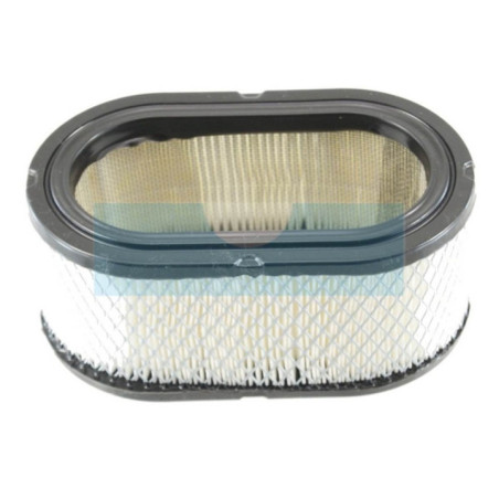 Filtre à air pour Onan (1402597)