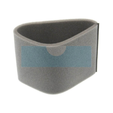 Filtre à air pour moteur Onan (1402335)