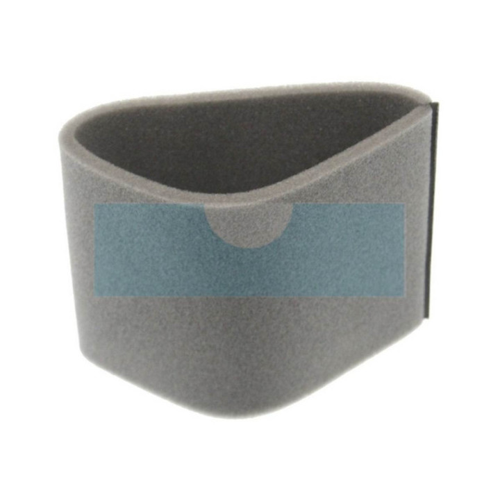 Filtre à air pour moteur Onan (1402335)