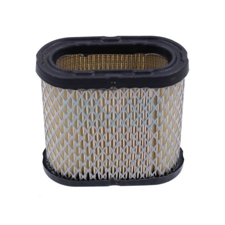 Filtre à air pour moteur Onan (1402588)