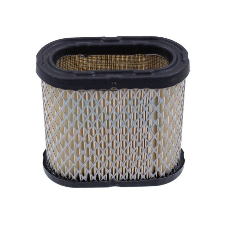 Filtre à air pour moteur Onan (1402588)