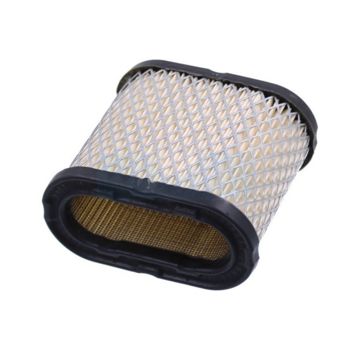 Filtre à air pour moteur Onan (1402588)