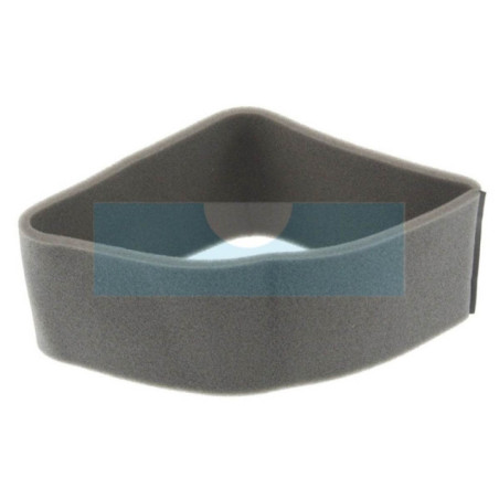 Filtre à air pour Onan (1402255)