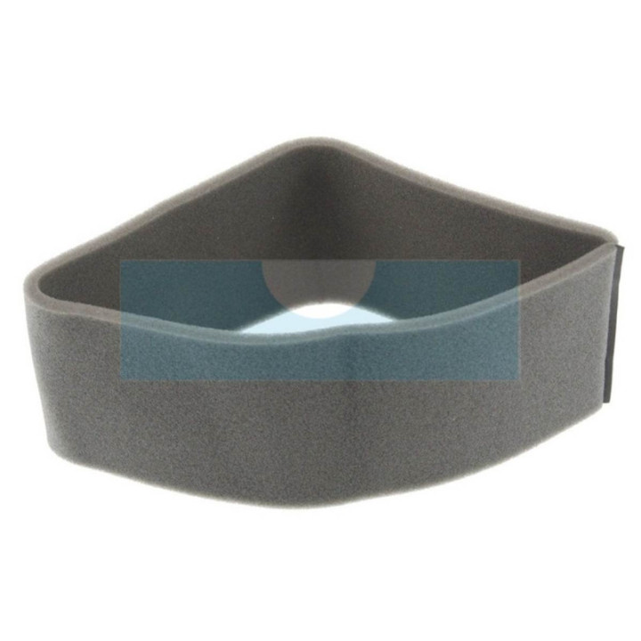Filtre à air pour Onan (1402255)