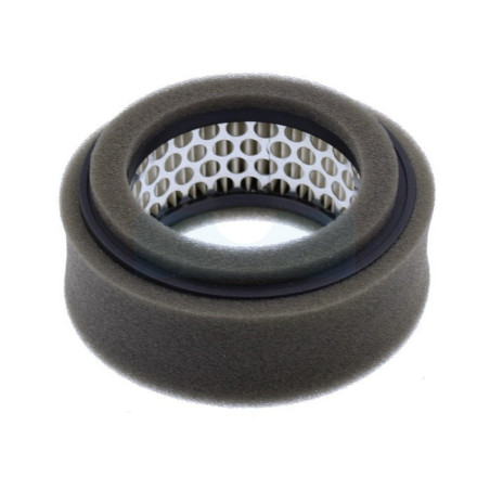 Filtre à air pour moteur Robin (2743260307)