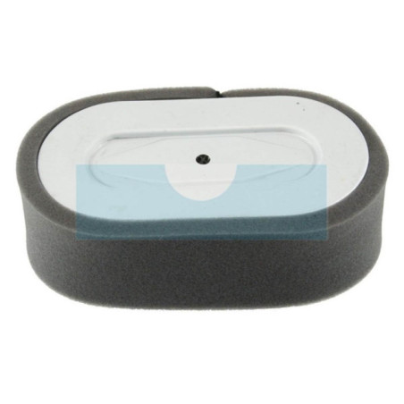 Filtre à air pour moteur Robin (2313260408)